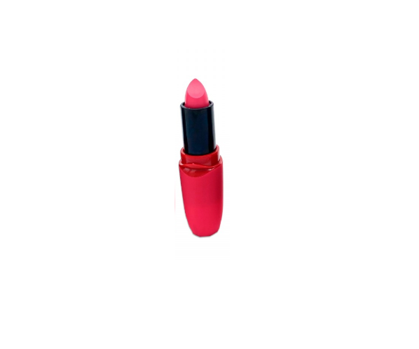 Rouge à Lèvres Mat Cool