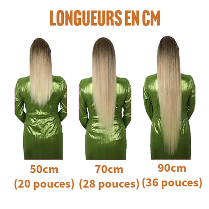 Postiche Queue de cheval Lisse Semi Naturel 90cm- Paula (6 couleurs)